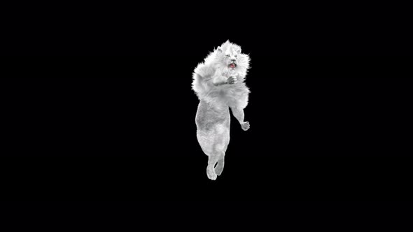 White Lion Dancing 4K