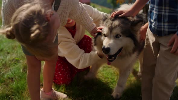 People Hands Petting Pet Closeup