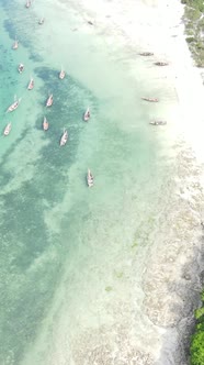 Vertical Video of the Ocean Near the Coast of Zanzibar Tanzania