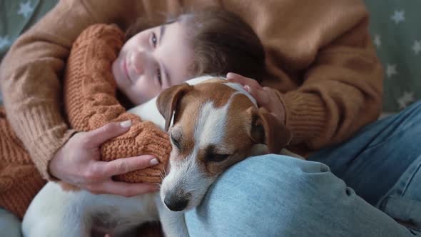 Asmall Beautiful Sleepy Dog Jack Russell Sleeps in Arms of His Owner in a Cozy Apartment Closeup