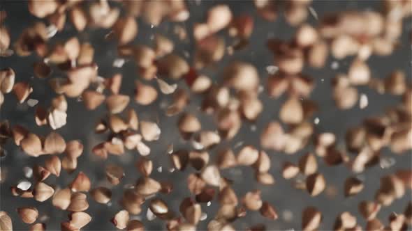 Buckwheat Flies in the Air in Slow Motion