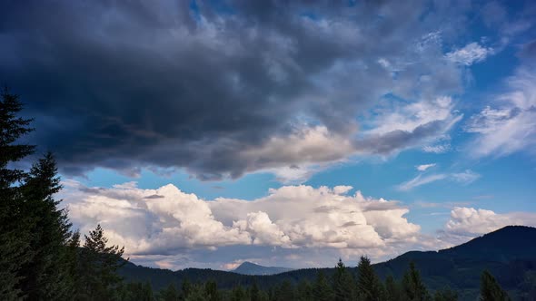 Big cumulus cloudsover The Forest Landscape, 4K