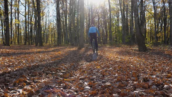 In slow motion, a man rides a mountain bike through dry leaves in the woods