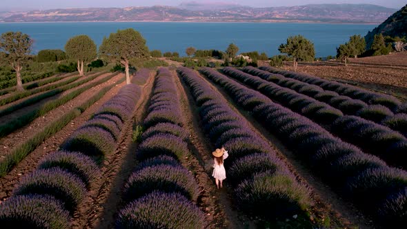 Aerial View Girl on the Lavender