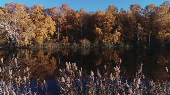 Rafting on the Forest River on Beautiful Sunny Autumn Days