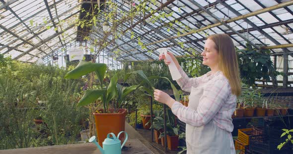 Eco Hobby Concept  Woman Watering Flowers in a Greenhouse 