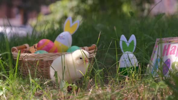 Cute Baby Chick Standing Over Easter Eggs Outdoors