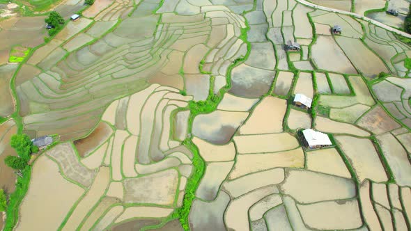 Aerial view of drones flying over rice terraces