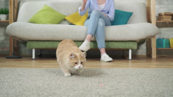 Young Woman Sitting on a Sofa Playing with a Cat Using a Laser Pointer