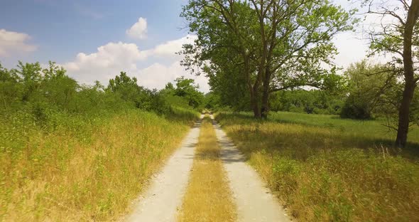 Man Running in an Off Road Pathway