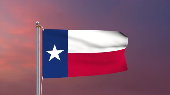 Texas Flag 4k