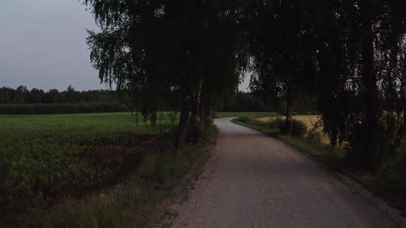 Flight Above Road