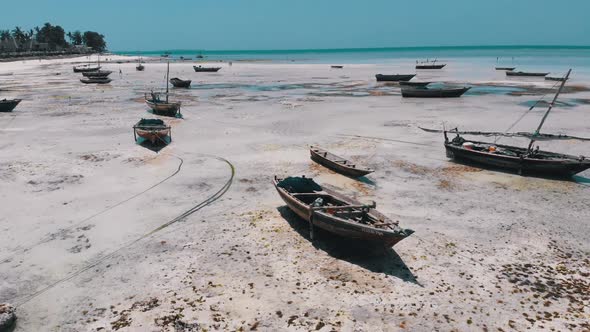 Lot of Fishing Boats Stuck in Sand Off Coast at Low Tide Zanzibar Aerial View