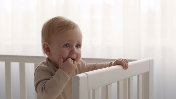 Teething In Babies