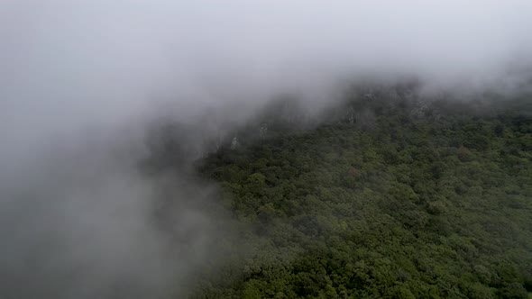 Sideways pan of green forest mountain with clouds. Heavy fog drifting by from left to right side.