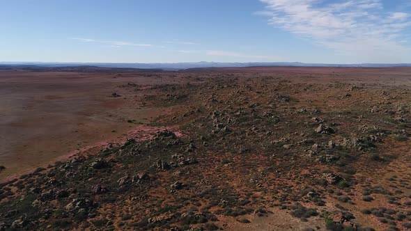 Aerial views over the town of Nieuwoudtville in the Northern Cape of South Africa with blossoming Ma