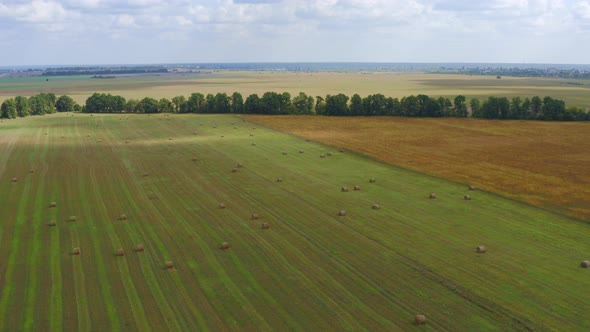 Aerial View Shot of Harvesting a Roll of Hay on a Green Field