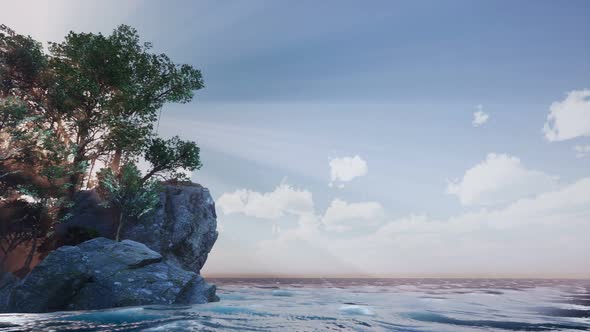 Rocky Island with Trees As Ocean