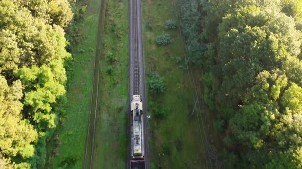 The train travels in the morning on the railway tracks through the woods