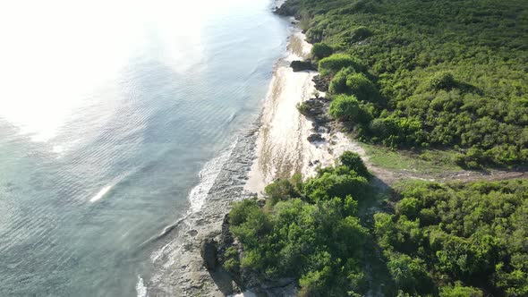 Coast of Zanzibar Island Tanzania Covered with Thickets