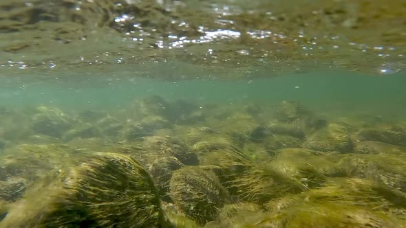 Underwater view rising above to see people floating on raft in the Snake River