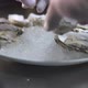 Man Serves Delicious Raw Oysters on Plate with Crushed Ice - VideoHive Item for Sale