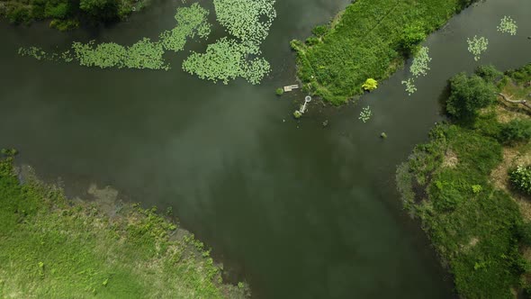 Flight Over The City Park. You Can See The Lilies On The River. Aerial Photography.