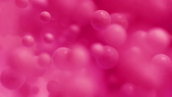 Red rose bubbles, abstract background with flow of blobs