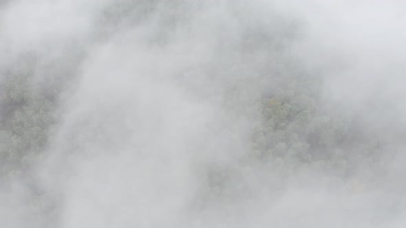 Ungraged Dlog d Log Aerial View  Flight Above Amazing Misty Forest Landscape