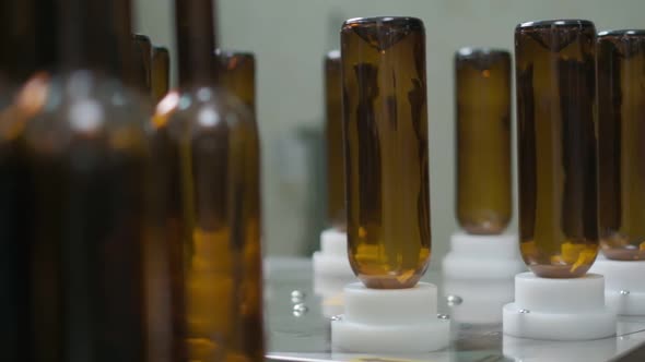 Empty Wine Bottles on the Washing Conveyor