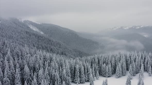 Aerial of Mountain Frosty Winter Nature Trees Alpine Landscape