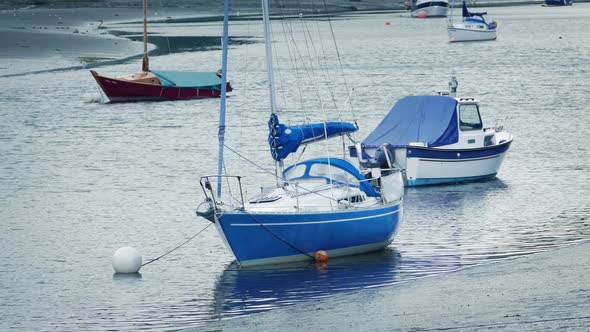 Many Sailing Boats Moored In The Bay