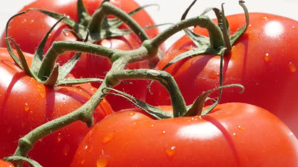 Fresh vegetable Solanum lycopersicum cerasiforme on vines slow tilt food background 4K 3840X2160 Ult