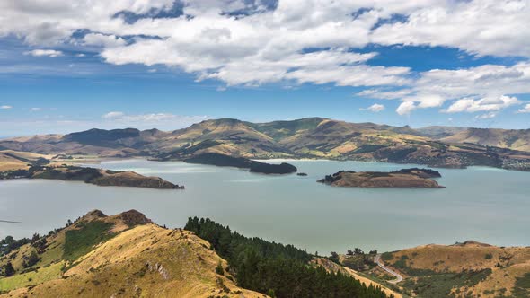 Lake in New Zealand Landscape in Sunny Summer Day