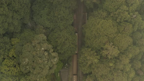 Aerial following shot of a commuter train moves on the forest at foggy. 4K Videos.