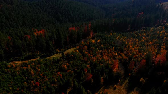 Aerial Drone Video Flying Over Carpathians Mountains, Ukraine, Europe