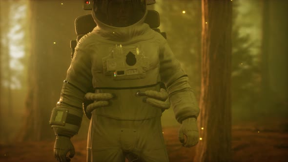 Lonely Astronaut in Dark Forest alt