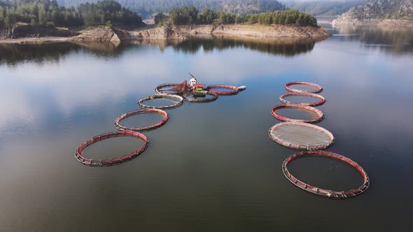 Aerial View Over a Fish Farm with Lots of Fish Enclosures on Cages