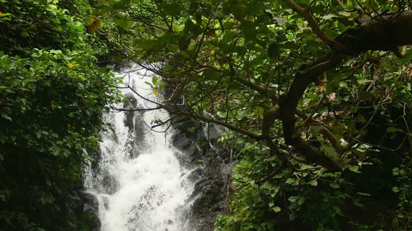 Flowing Waterfall in Forest