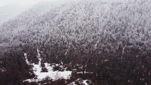 Aerial Forest view - Winter Landscape Aerial view