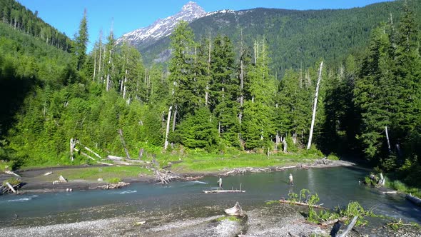 Men fishing in river on a sunny day 4K 4k