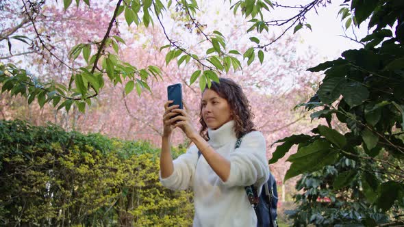 A Woman Photographer Takes Pictures in the Sakura Garden