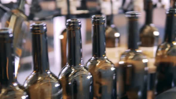 Empty Wine Bottles Move Along the Conveyor