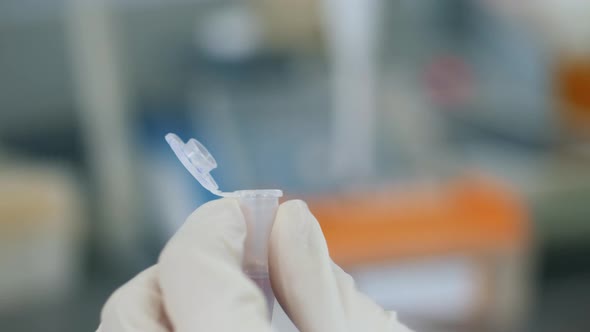 Close Up of a Test Tube in the Hands of a Laboratory Expert