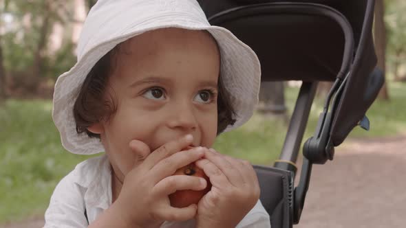 Toddler Boy Eating Apple Outdoors