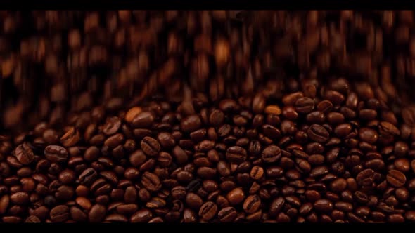 Falling Сoffee Beans. Front View Of Coffee Beans.