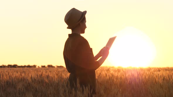 A Female Farmer Works in a Wheat Field Using a Tablet. The Agronomist Checks the Grain Yield for