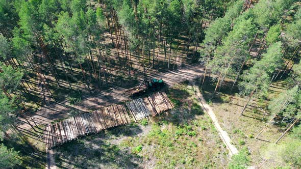 Unloading of Felled Trees Carried Out By the Machine in a Top View