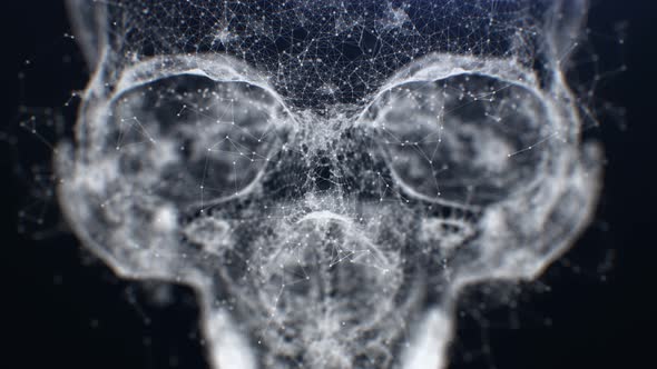 Plexus Skull In 4K