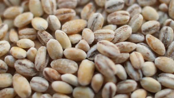 Rotation of a Pearl Barley